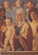 The Virgin and Child Between Peter and Sebastian (mk05) Giovanni Bellini